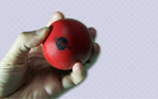 Pelotas